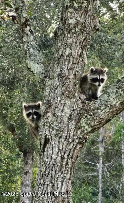 Messenger_creation_B555E485-56AA-4289-95