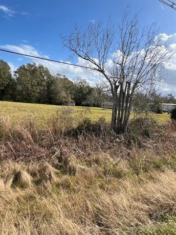 TBD Airport Rd, Hammond, LA 70403 - photo 6