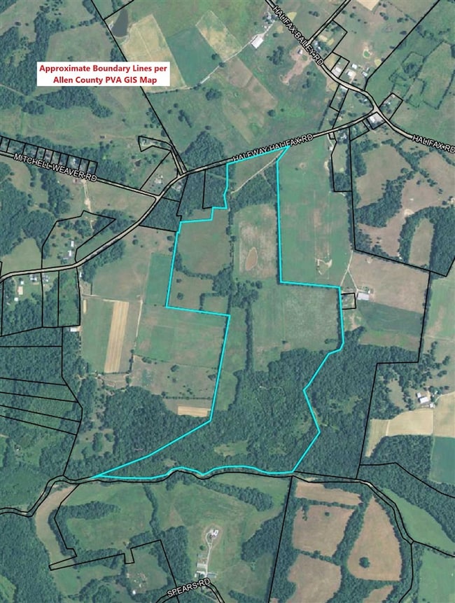 4053 Halfway-Halifax Rd, Scottsville, KY 42164 - photo 2