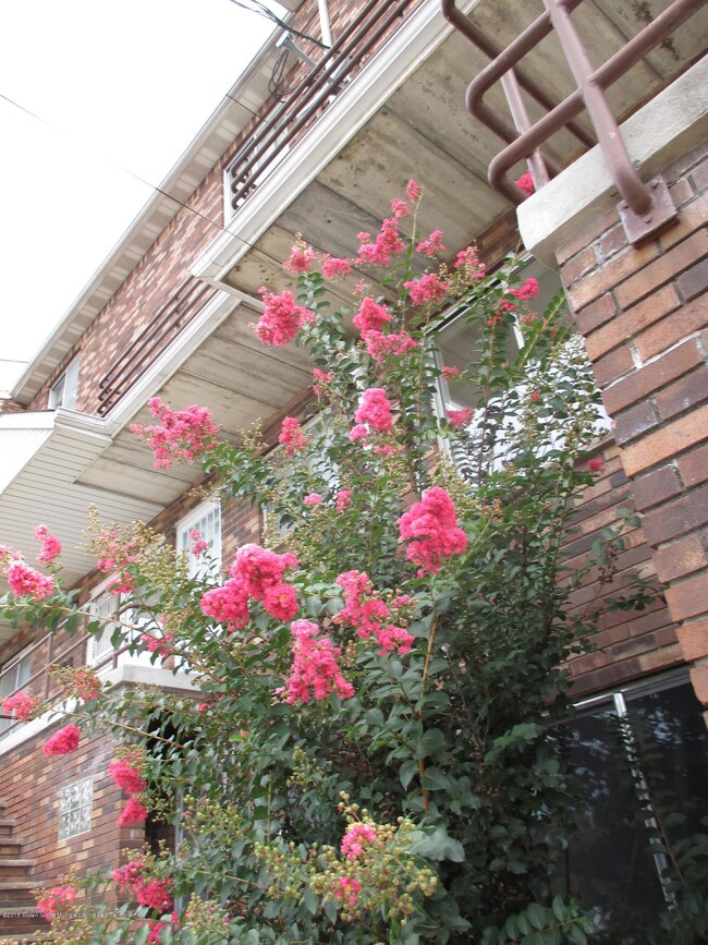 front w pink flowers