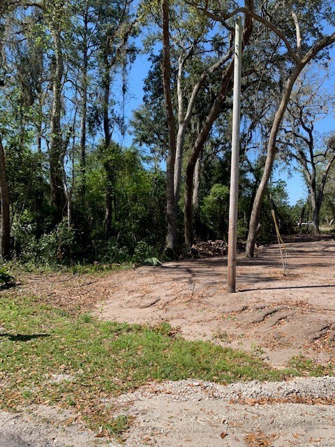 Wooded lot is for sale. See cleared lot adjacent to get a better perspective of size