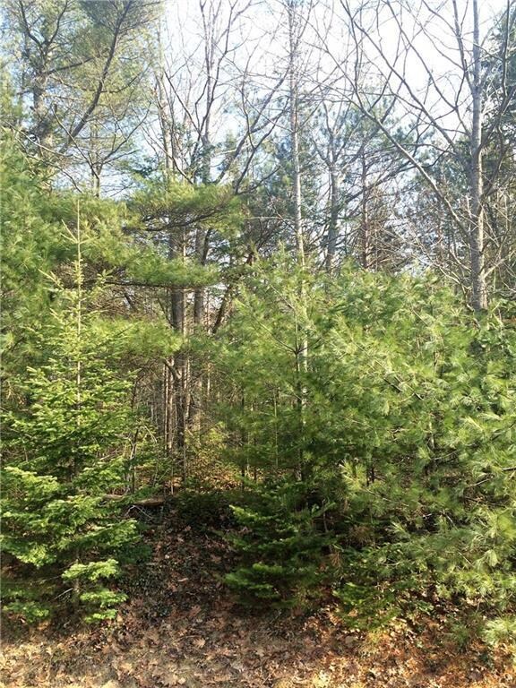 Nice wooded lot for privacy