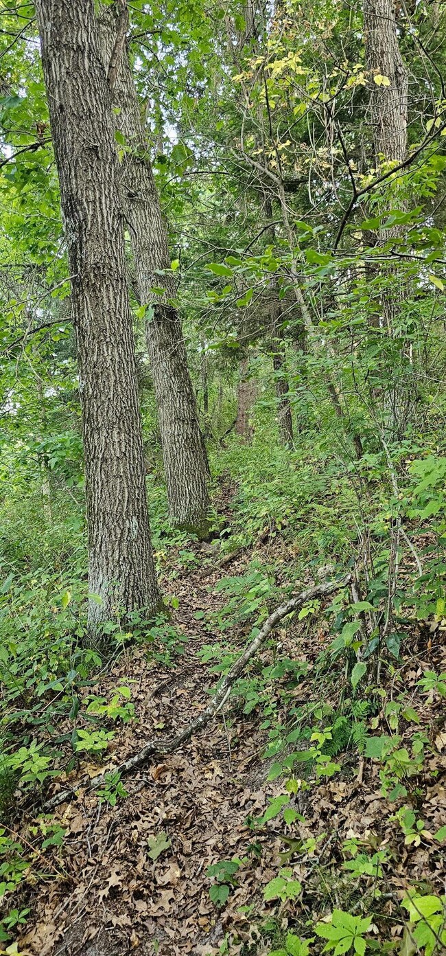 TBD Village Rd, City of Rushford Village, MN 55971 - photo 2