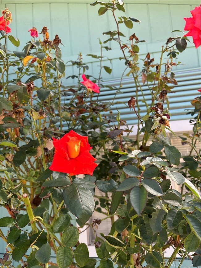 5277 Highway 49 N unit 79, Mariposa, CA 95338 - photo 4