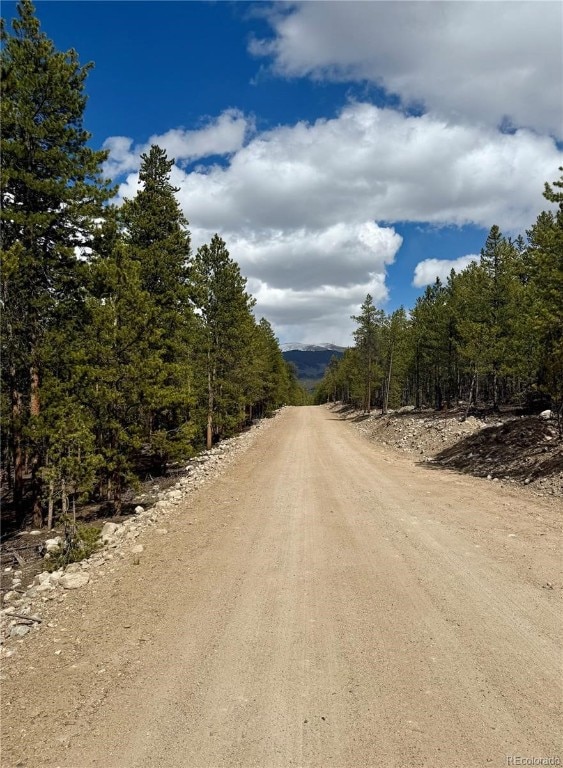 View of dirt / gravel road