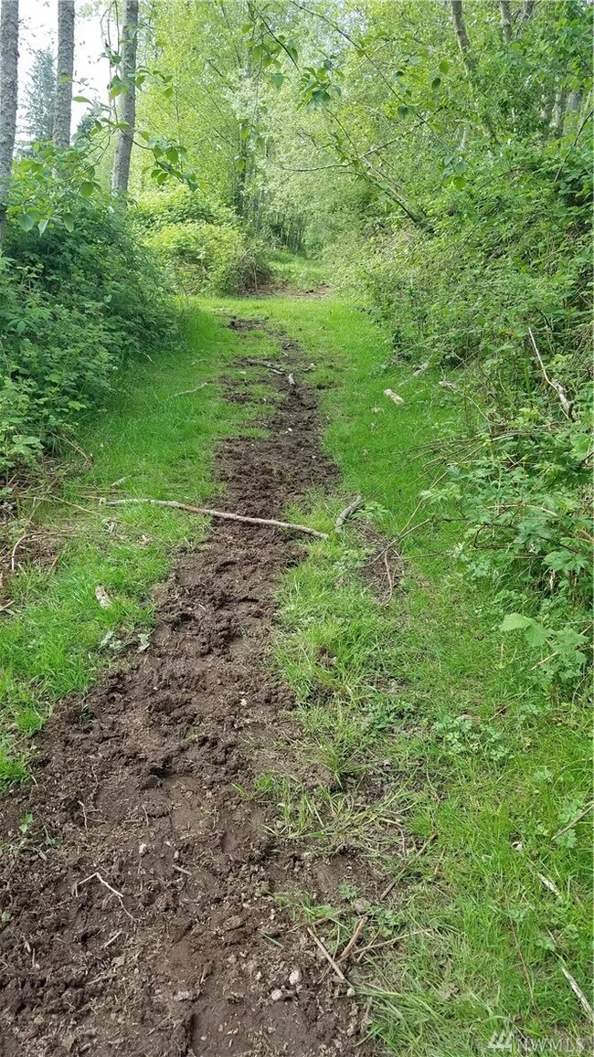 3520 300th St NW, Stanwood, WA 98292 - photo 6