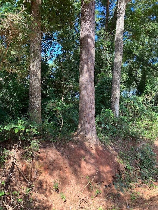 248 ac Bell Crossing Rd, Opp, AL 36467 - photo 3