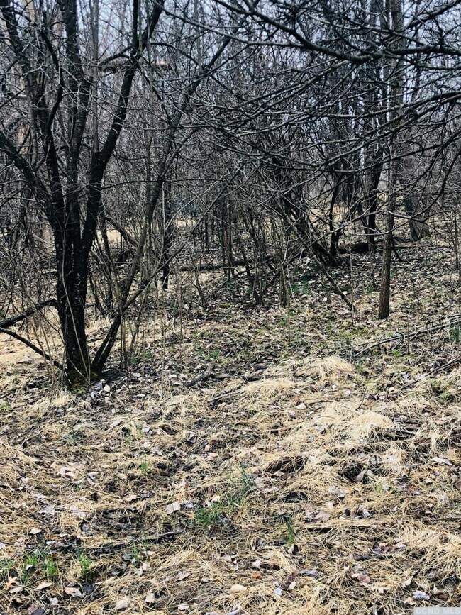 157 Whitney Point, Athens, NY 12015 - photo 7