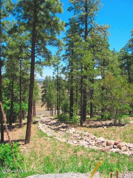 arizona_mountain_retreat_property_lot_wi