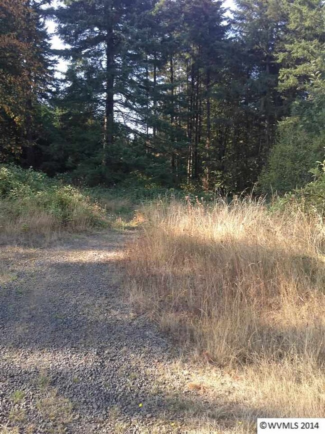 0 Mirror Pond Estates Lot 2 unit 682783, Amity, OR 97101 - photo 2