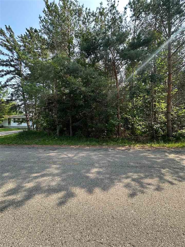 TBD Sheridan, Petoskey, MI 49770 - photo 4