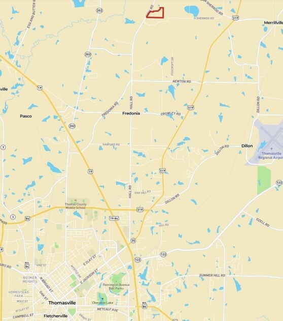 6880 Hall Rd, Coolidge, GA 31738 - photo 5