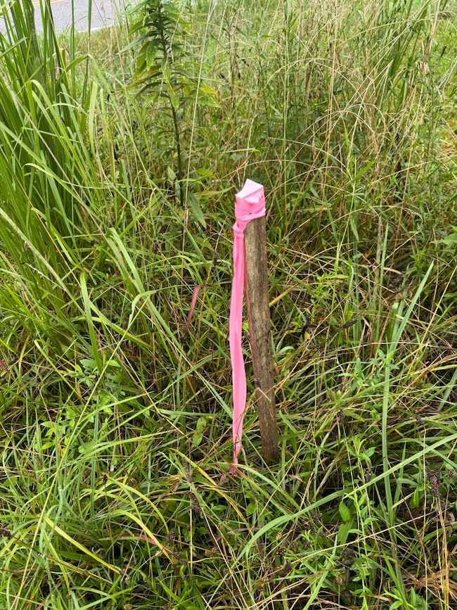 714 Mill Creek Rd, Rocky Face, GA 30740 - photo 3