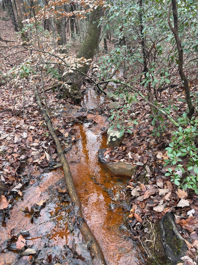 3699 Crockett Pointe, Jasper, TN 37347 - photo 3