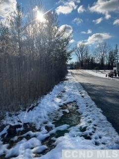 0 - L7 Debbie Dr, Athens, NY 12015 - photo 4