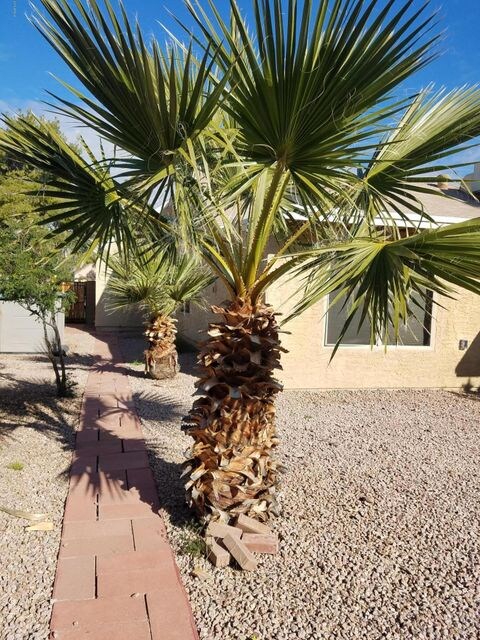 1537 E Divot Dr, Tempe, AZ 85283 - photo 5