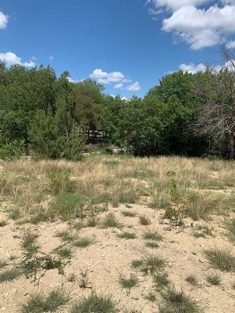 TBD Silver Creek Azle Rd, Azle, TX 76020 - photo 5