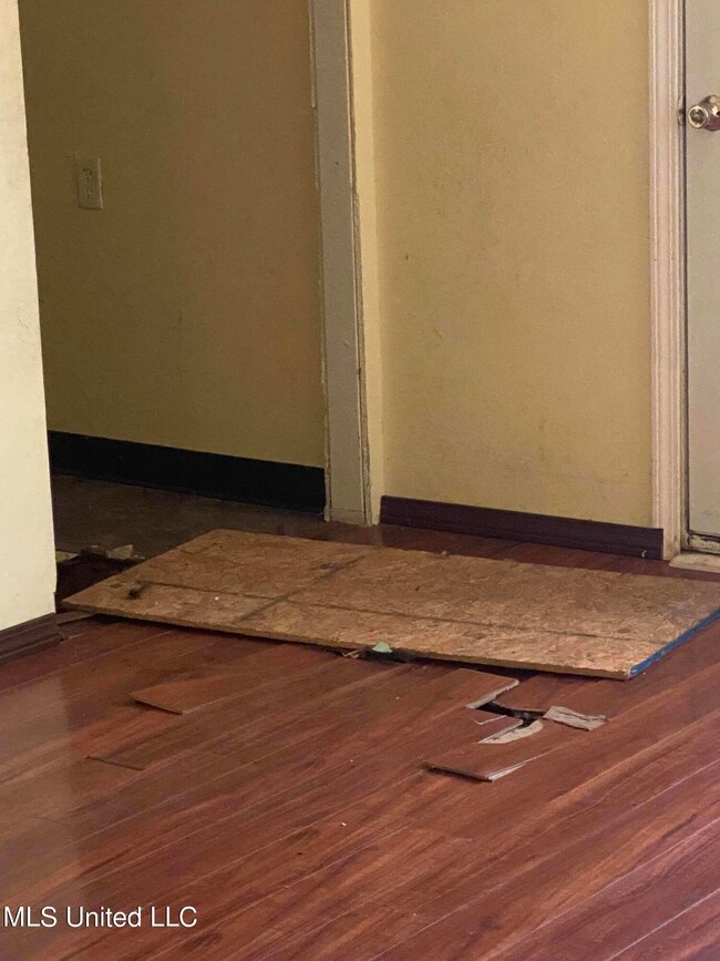 Pic 5