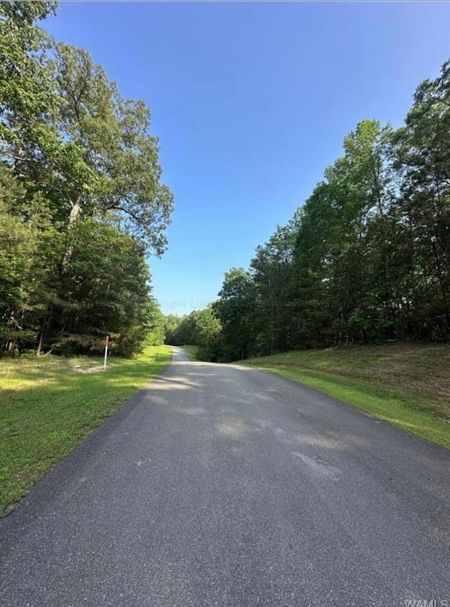 34 Stoney Point Rd N, Double Springs, AL 35553 - photo 4