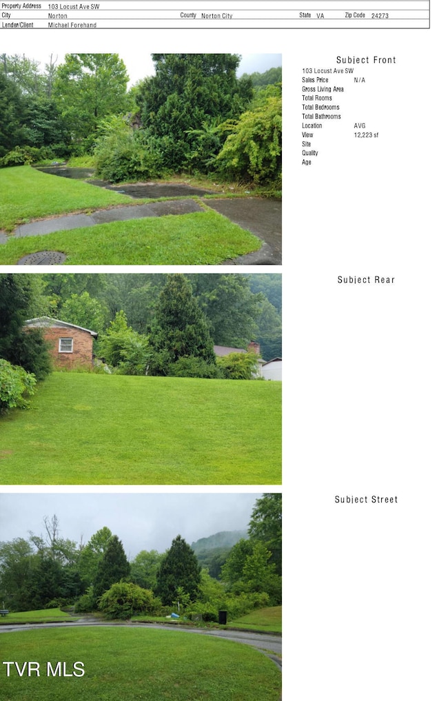 103 Locust Ave SW, Norton, VA 24273 - photo 3