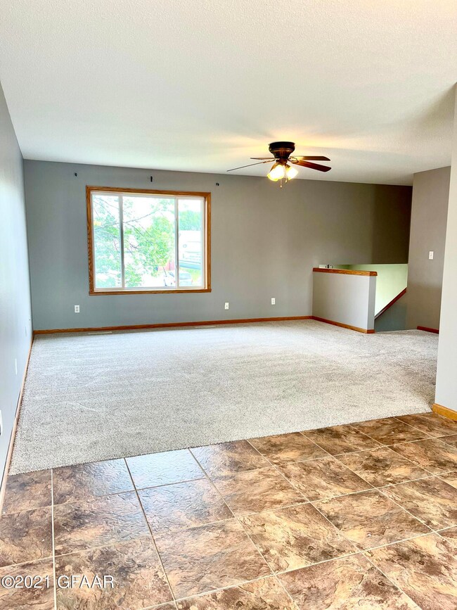Living Room-New Carpet