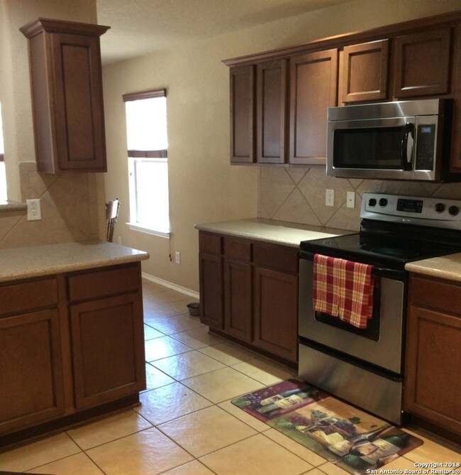 10526 Cosmos Canyon, Helotes, TX 78023 - photo 4