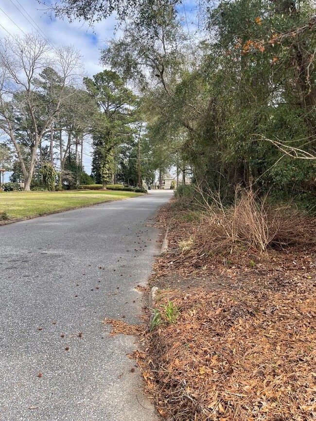 0 Choctaw Dr, Eufaula, AL 36027 - photo 2