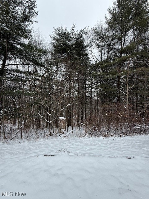 15639 Grove Rd SE, Port Washington, OH 43837 - photo 7