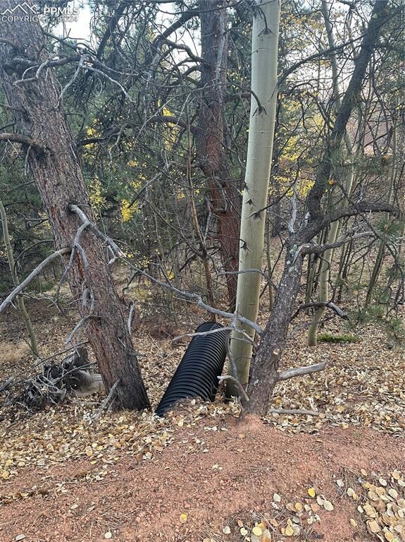 418 Valley Rd, Divide, CO 80814 - photo 3