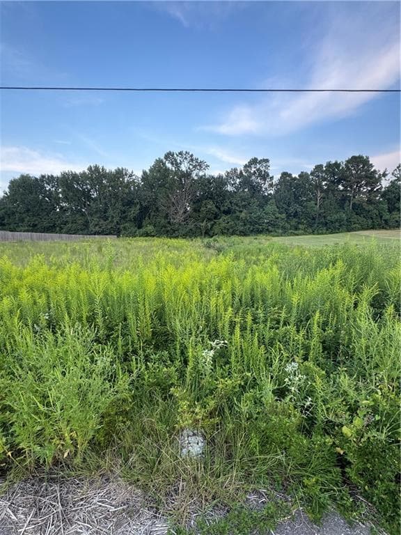 119 Meadow Ln, Pollock, LA 71467 - photo 3