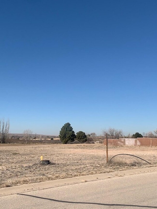 N of 701 Ridgecrest Dr, Carlsbad, NM 88220 - photo 5