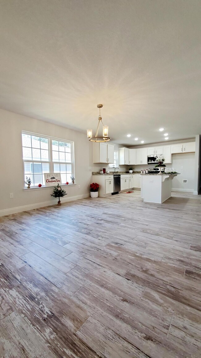 Living, Dining Kitchen