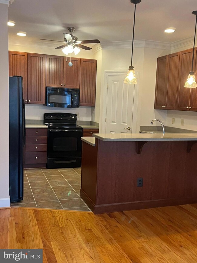 1040 Sun Poppy Ct, Woodstock, VA 22664 - photo 7