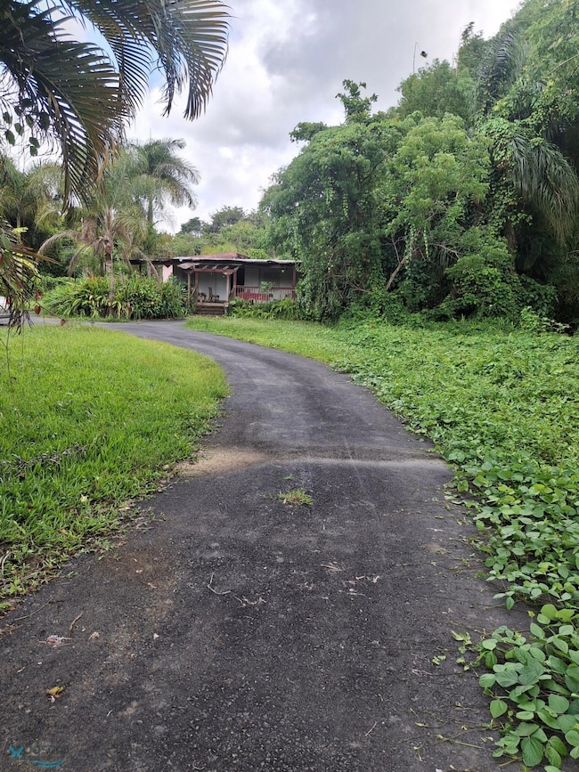 Km 1.5 Carretera 197, Aguas Buenas, PR 00703 - photo 2