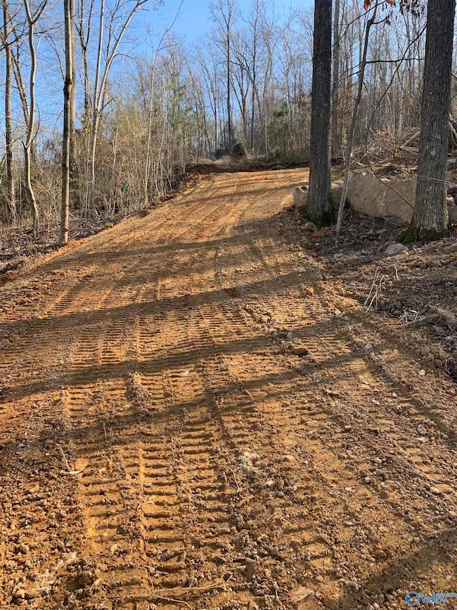 LOT 22 Snug Harbor Rd, Grant, AL 35747 - photo 2