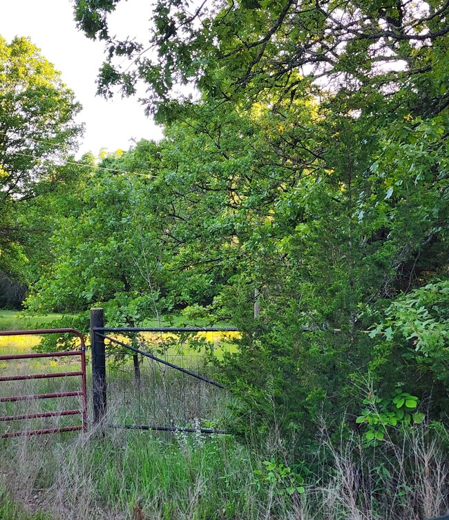 West side of front gate