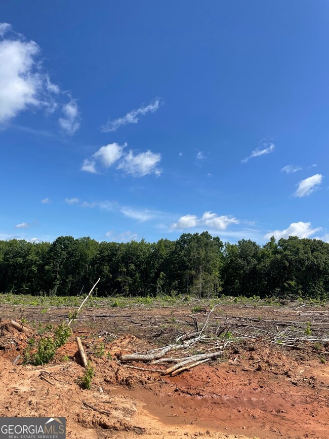 0 Allen Rd unit 10628619, Butler, GA 31006 - photo 6