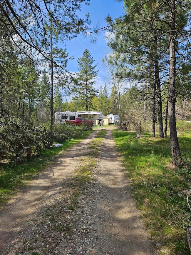 4464 Woods Way, Springdale, WA 99173 - photo 5