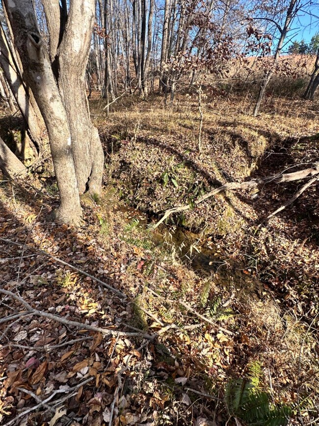 0 Lot 2b Police Tower Rd unit 363222, Appomattox, VA 24522 - photo 7