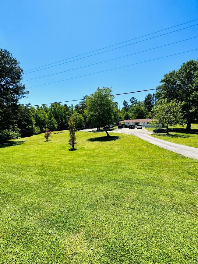 Road View