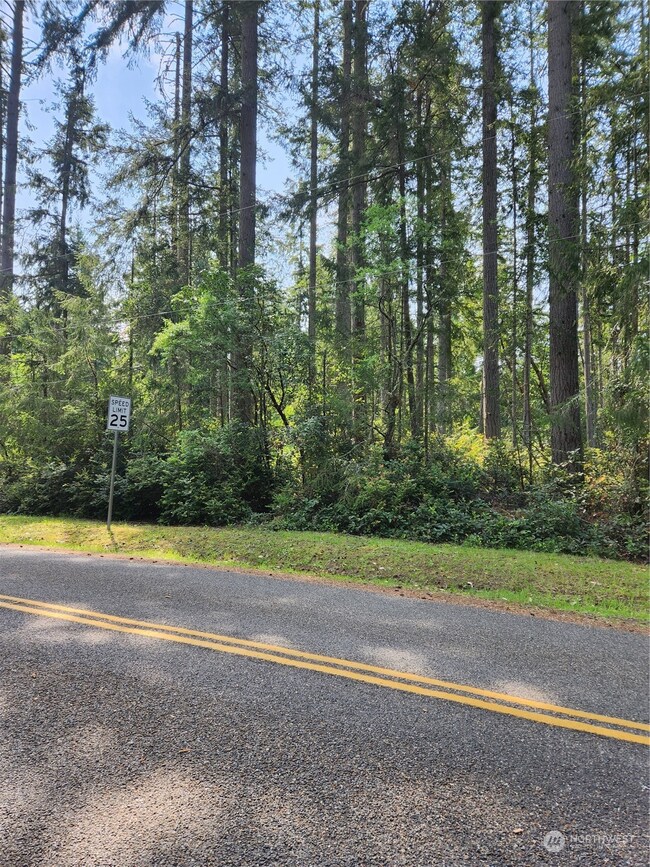 12506 Yoman Rd, Anderson Island, WA 98303 - photo 3