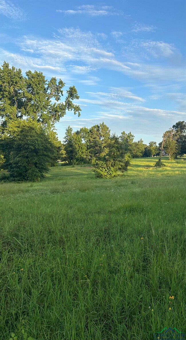 View of yard with a rural view