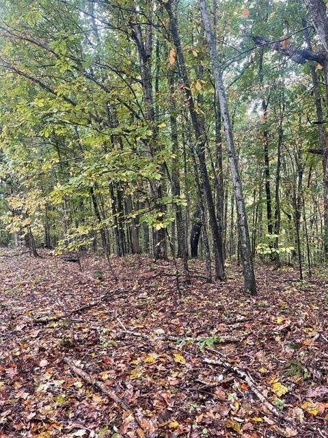 0 Cowhorne Hollow Rd unit RTC2300968, Prospect, TN 38477 - photo 2