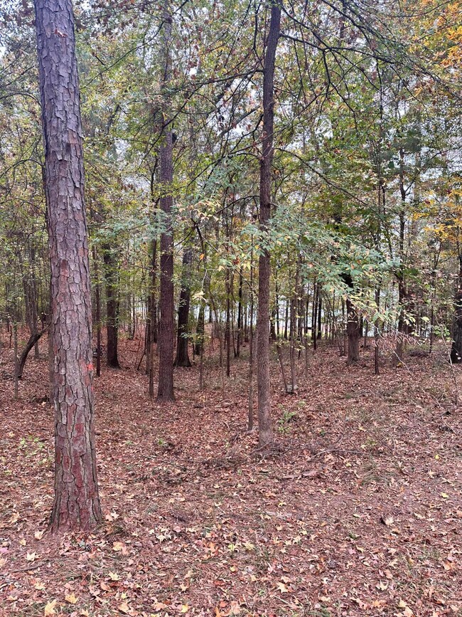 1561 Treasure Ln, Tignall, GA 30668 - photo 7