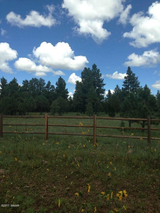 Gorgeous 2 Acre Lot on Porter Mountain