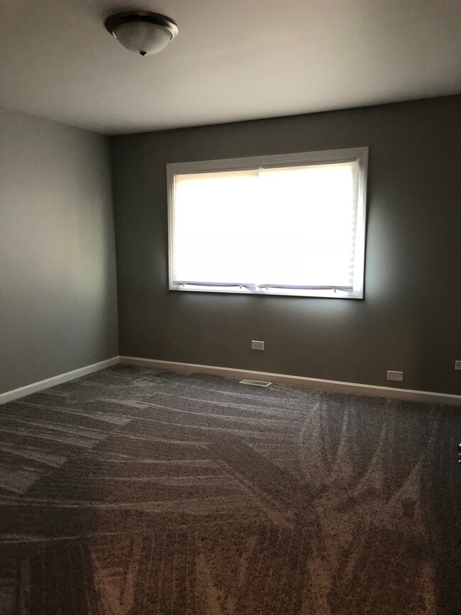 922 Wampum Ct, Carol Stream, IL 60188 - photo 4