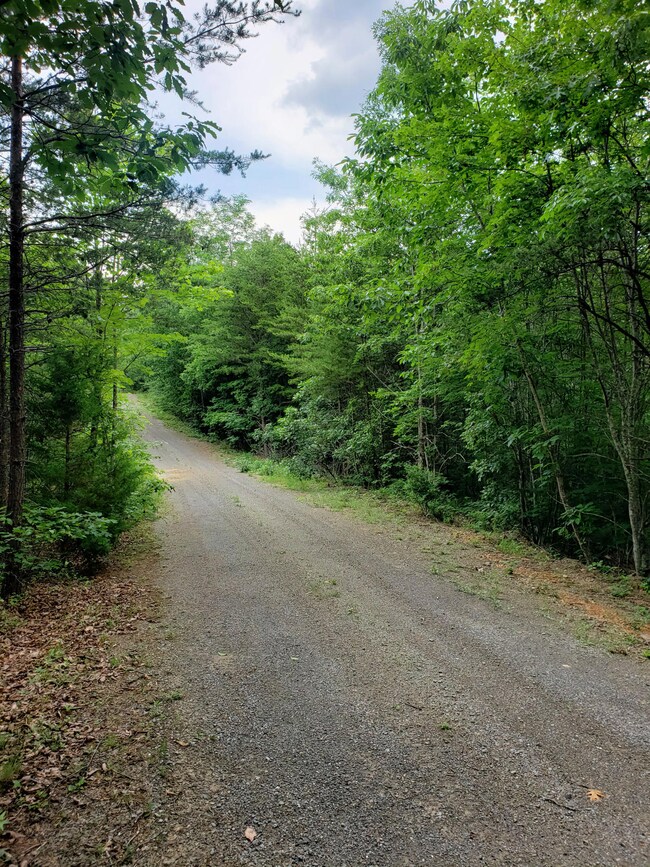 Access Road