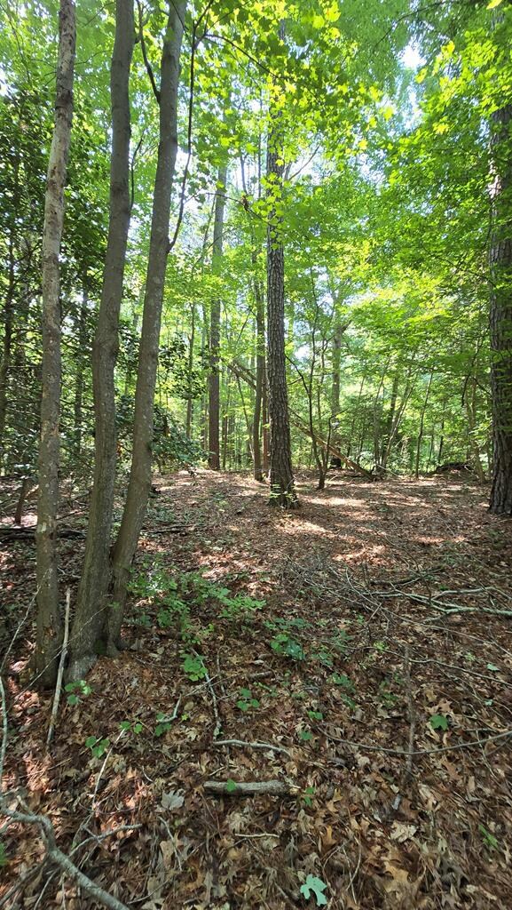 Lot A Airport Dr unit A, Melfa, VA 23410 - photo 6