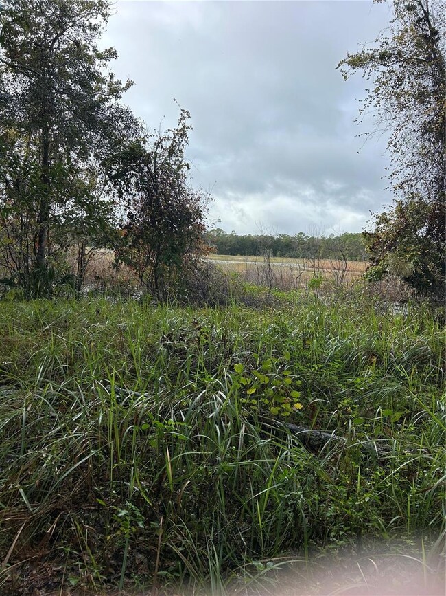 0 Emporia Rd unit MFRV4939993, Pierson, FL 32180 - photo 3