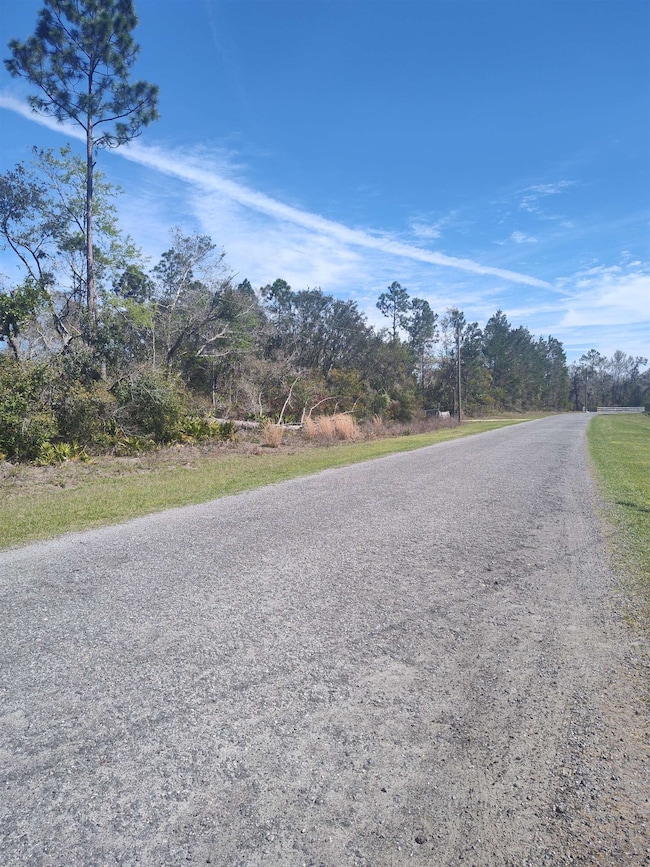 000 Strickland Landing Ct, Perry, FL 32348 - photo 2